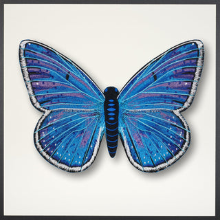 Adonis Blue Butterfly Framed - Stephen Wilson Studio