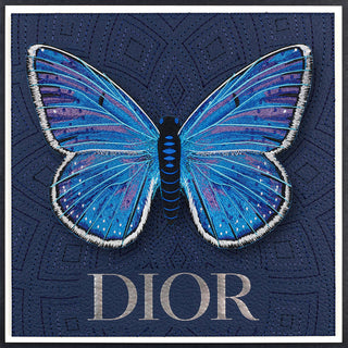 Framed Dior/Adonis Blue Butterfly 12"x12"