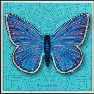 Adonis Blue Butterfly Framed - Stephen Wilson Studio