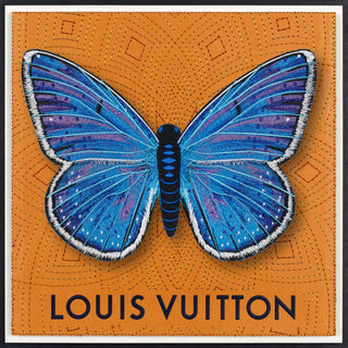 Adonis Blue Butterfly Framed - Stephen Wilson Studio