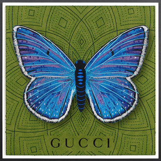 Adonis Blue Butterfly Framed - Stephen Wilson Studio