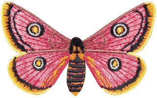 African Moth 6" through 10" - Stephen Wilson Studio