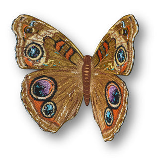 Buckeye Butterfly 6" through 12" - Stephen Wilson Studio