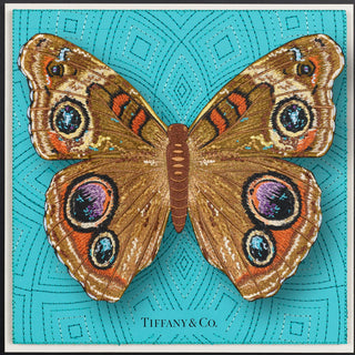 Buckeye Butterfly Framed - Stephen Wilson Studio