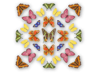 Butterfly Mandala 1 - Stephen Wilson Studio