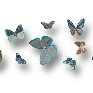 Coastal 12 piece swarm - Stephen Wilson Studio