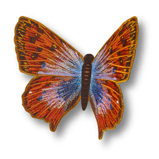 Common Opal Butterfly 6" through 12" - Stephen Wilson Studio