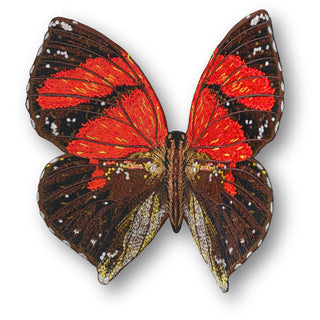 Ecuador Butterfly 6" through 12" - Stephen Wilson Studio