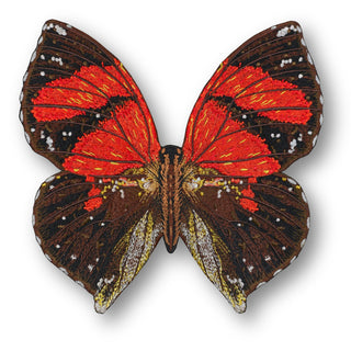 Ecuador Butterfly 6" through 12" - Stephen Wilson Studio