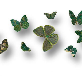 Emerald 12 piece swarm - Stephen Wilson Studio