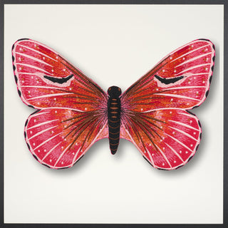 Isabella Butterfly Framed - Stephen Wilson Studio