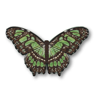 Malachite Butterfly 6" through 12" - Stephen Wilson Studio