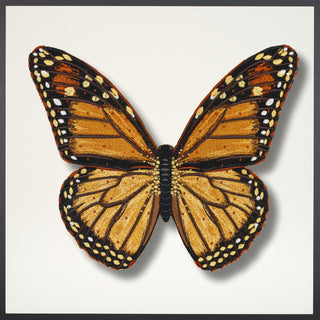 Monarch Butterfly Framed - Stephen Wilson Studio