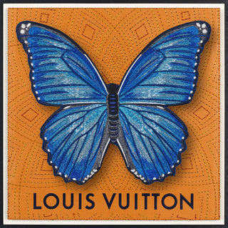 Morpho Butterfly Framed - Stephen Wilson Studio