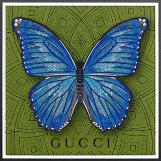 Morpho Butterfly Framed - Stephen Wilson Studio