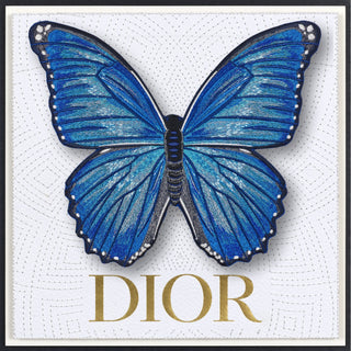 Morpho Butterfly Framed - Stephen Wilson Studio