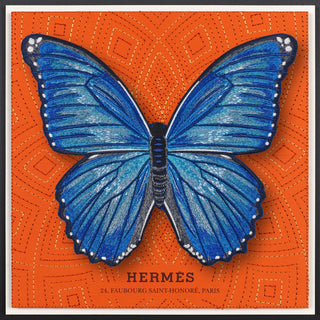 Morpho Butterfly Framed - Stephen Wilson Studio