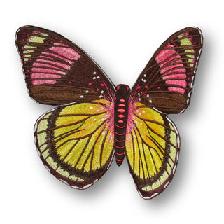 Painted Beauty Butterfly 6" through 12" - Stephen Wilson Studio