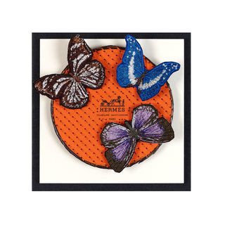 Petite Butterfly Swarm 5”x5” - Stephen Wilson Studio