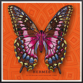 Framed Hermes/Purple Swallowtail Butterfly 12"x12"