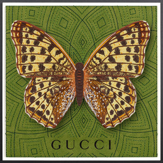 Queen of Spain Butterfly Framed - Stephen Wilson Studio