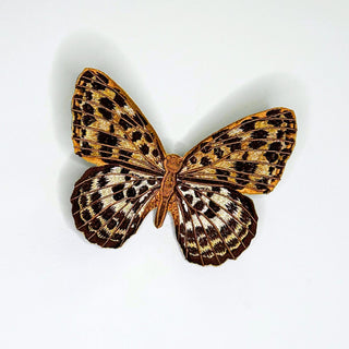 Queen of Spain fritillary 6" through 10" - Stephen Wilson Studio