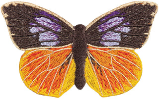 Southern Dogface Butterfly 6" through 10" - Stephen Wilson Studio