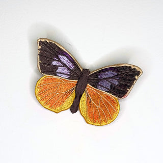 Southern Dogface Butterfly 6" through 10" - Stephen Wilson Studio