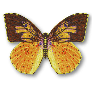 Southern Dogface Butterfly 6" through 12" - Stephen Wilson Studio