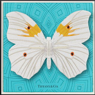 White Angel Butterfly Framed - Stephen Wilson Studio