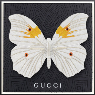 White Angel Butterfly Framed - Stephen Wilson Studio