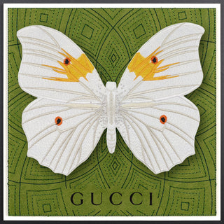 White Angel Butterfly Framed - Stephen Wilson Studio