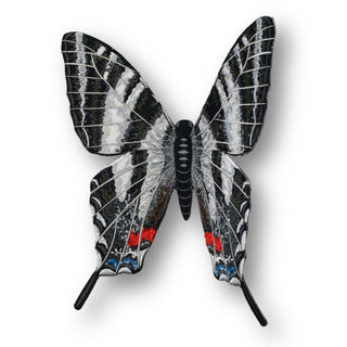 Zebra Swallowtail Butterfly 6" through 12" - Stephen Wilson Studio