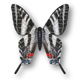 Zebra Swallowtail Butterfly 6" through 12" - Stephen Wilson Studio