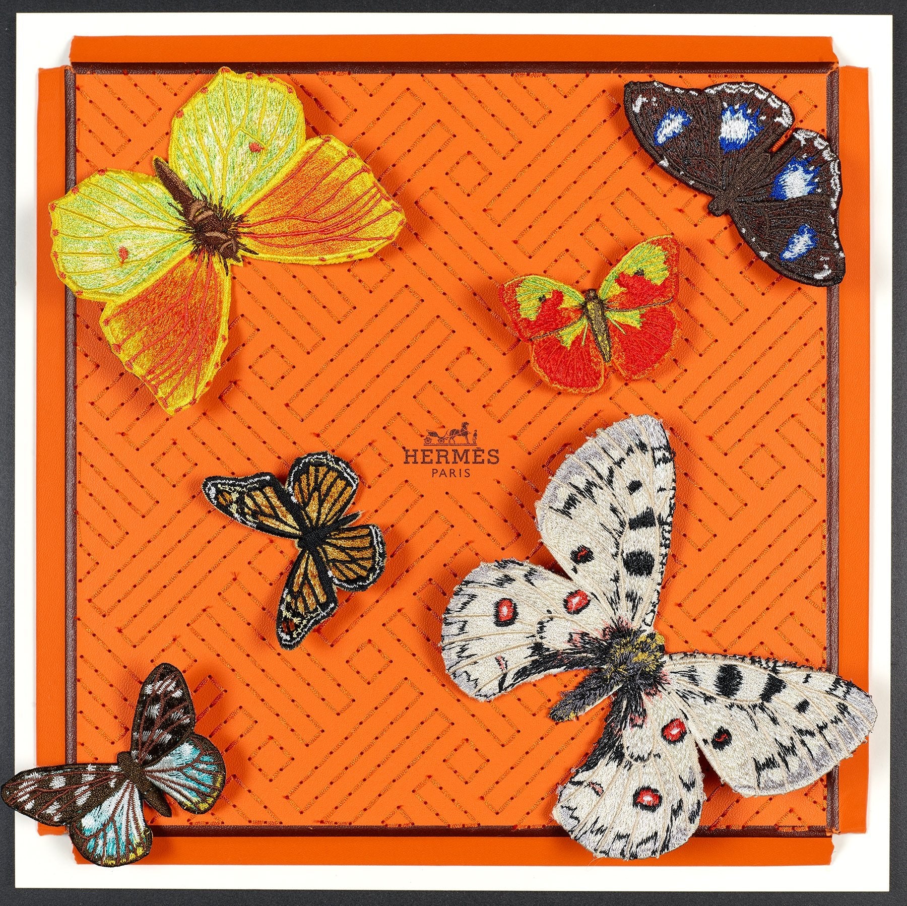 Butterfly Swarm 12”x12” – Stephen Wilson Studio